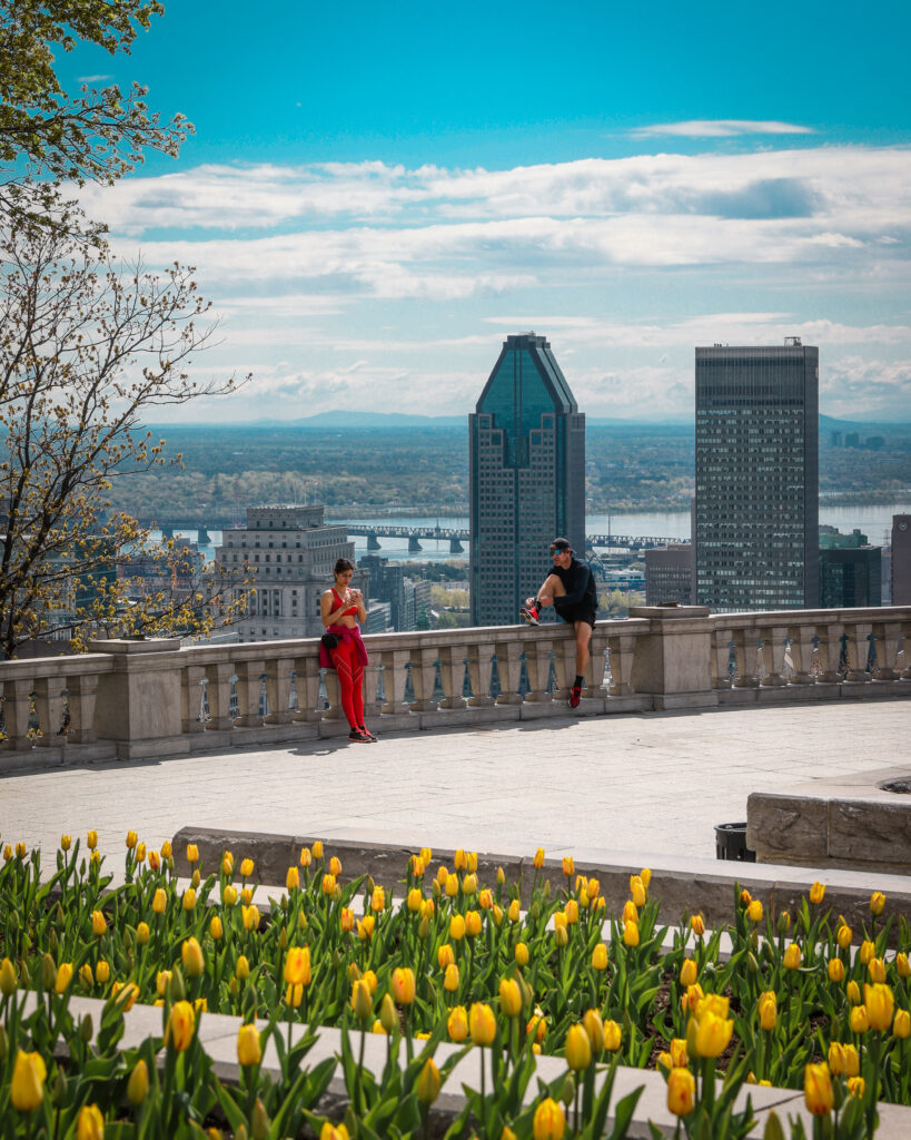 Belvedère Kondiaronk, Mont Royal